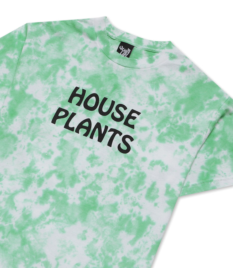 HOUSE PLANTS T