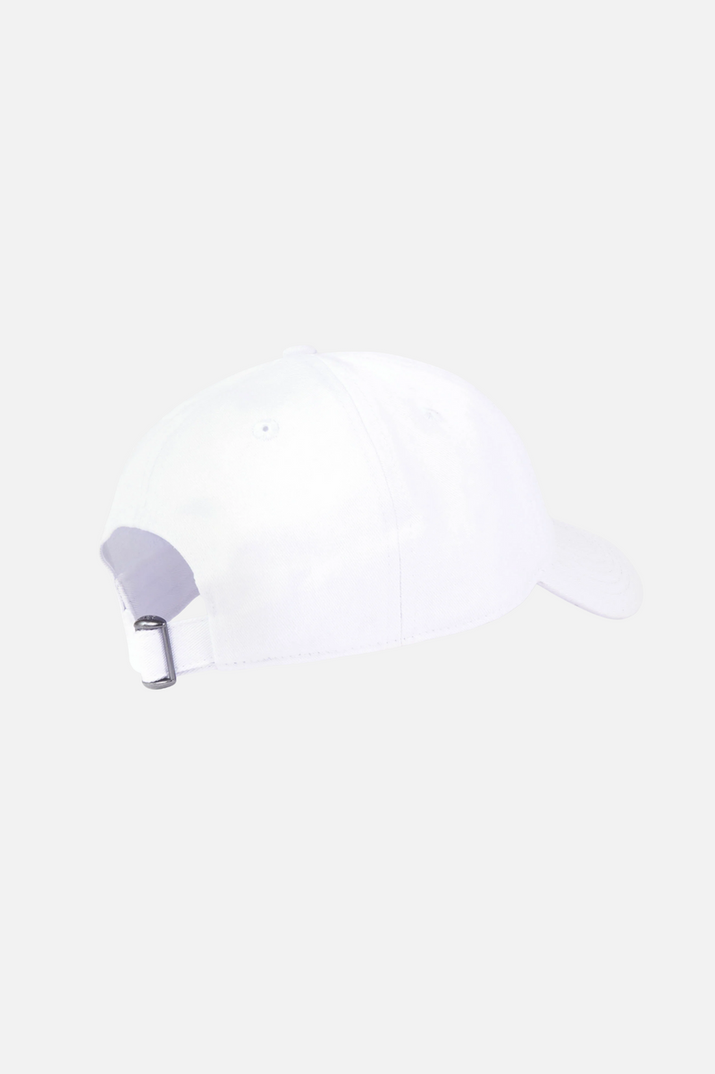HEALTH IS WEALTH HAT